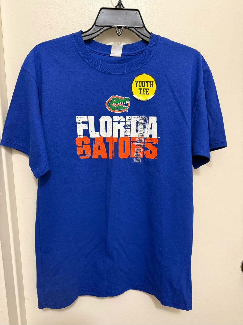 Hanes Florida Gators Kids Blue Graphic Tee